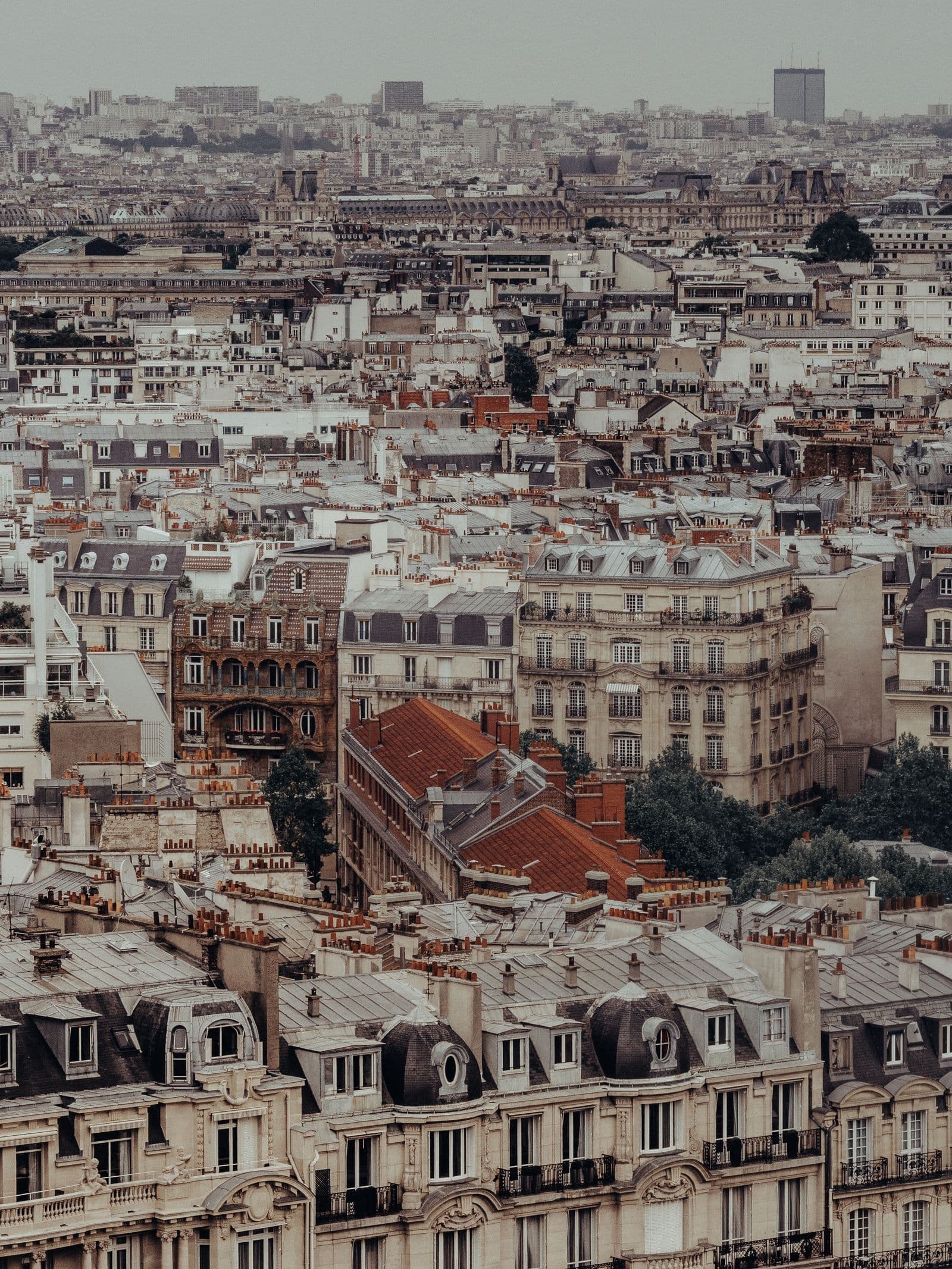 Rénovation d'appartement à Paris